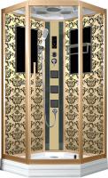 Душевая кабина Niagara Lux 7717G 100х100