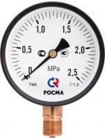 Манометр Росма TM520P Ду 100 с нижним подкл. из нерж.стали 1/2", 0-6 бар