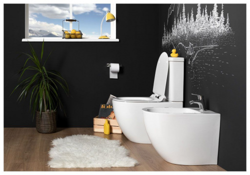 Бачок для унитаза Aquanet Cetus-C2 BL-102N-TPT