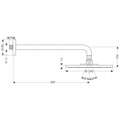 Верхний душ Hansgrohe Raindance S 240 1jet 27474000, хром