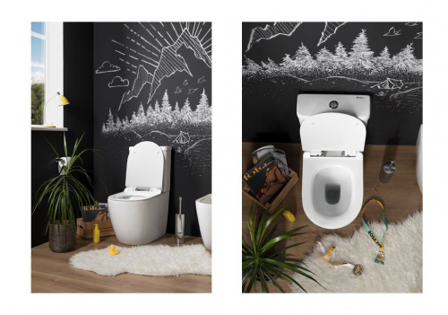 Бачок для унитаза Aquanet Cetus-C2 BL-102N-TPT