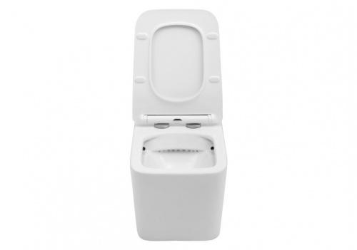Подвесной унитаз Aquanet Rimless TAVR-W BL-103N-WHT